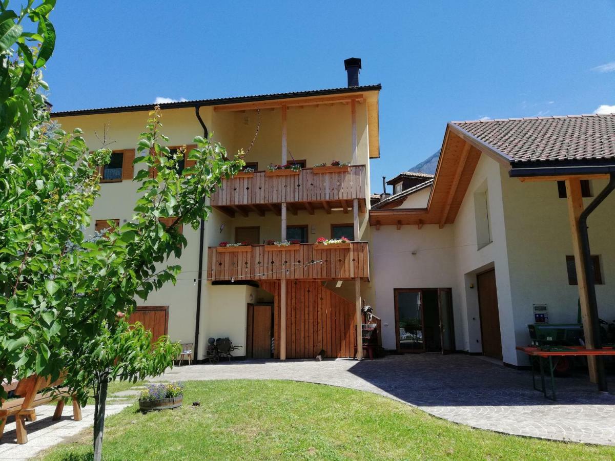 Ferienhof Weingenuss Appartement Cortina Sulla Strada del Vino Buitenkant foto