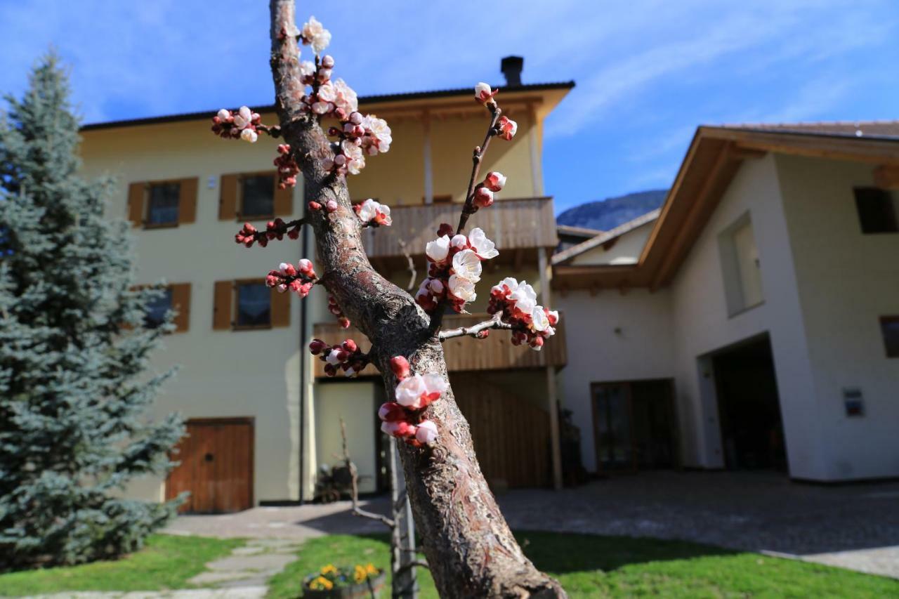 Ferienhof Weingenuss Appartement Cortina Sulla Strada del Vino Buitenkant foto